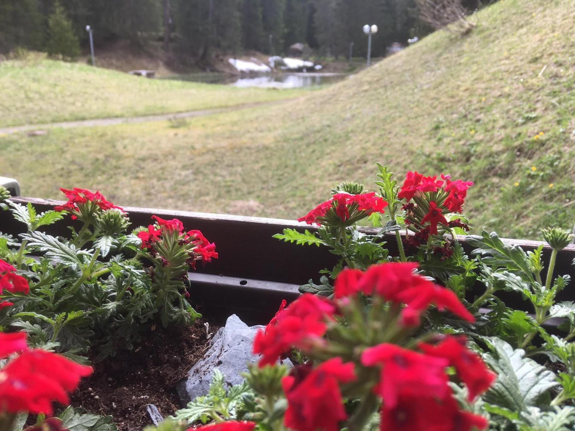Ferienwohnung Rothornblick Arosa Exterior foto